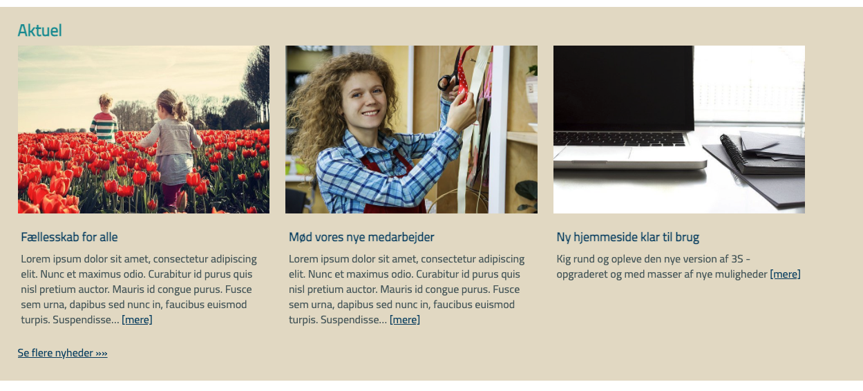 Sk_rmbillede_2021-02-16_kl._14.39.54.png