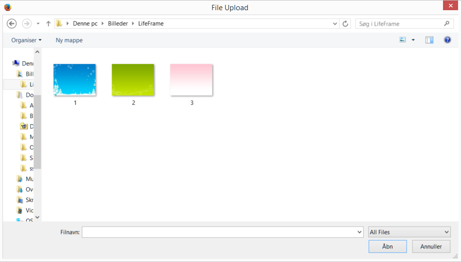 vaelg-fil-upload.PNG